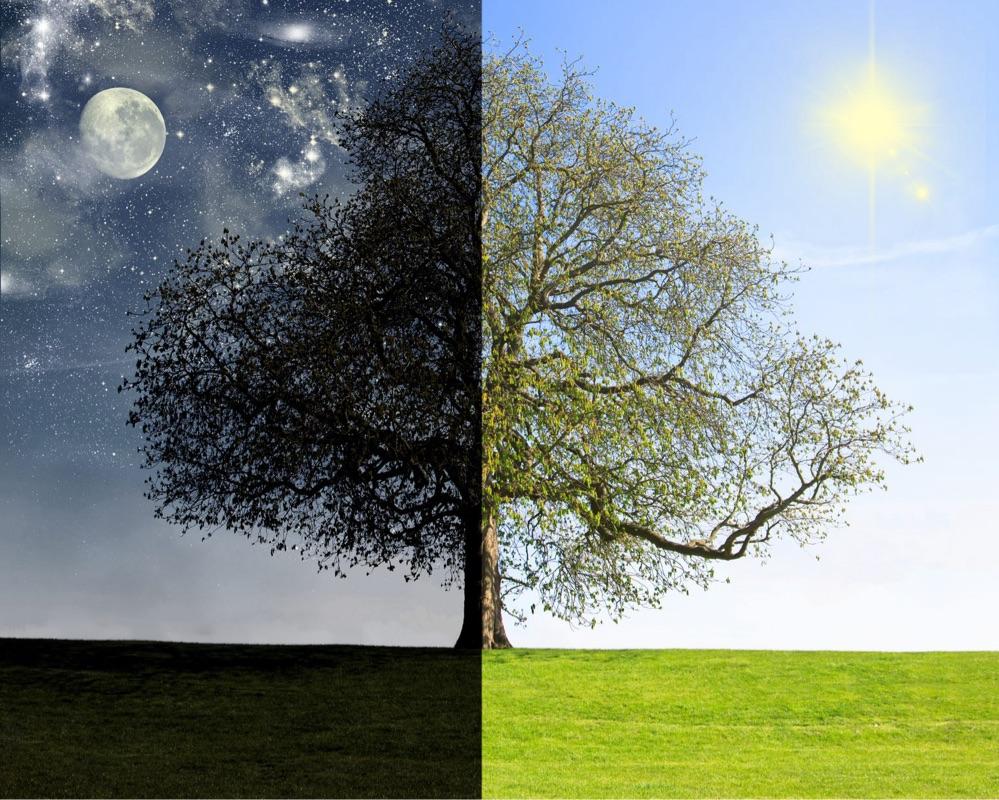 Brain Food: Exciting Mornings, Peaceful Nights