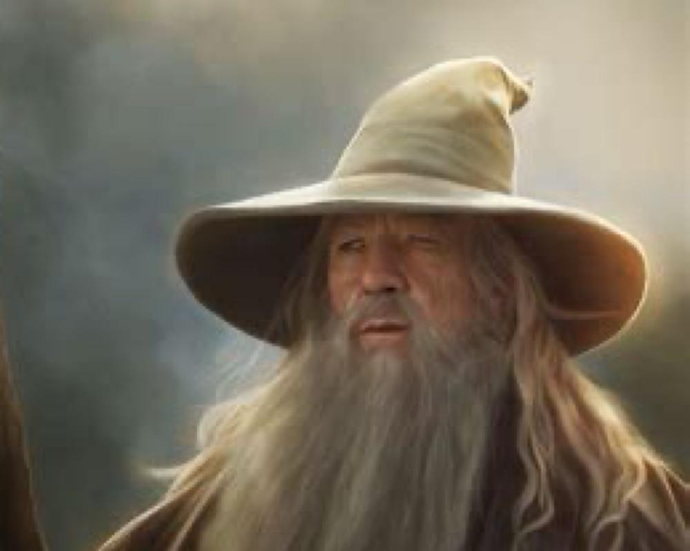 THE LORD OF THE RINGS: THE FELLOWSHIP OF THE RING