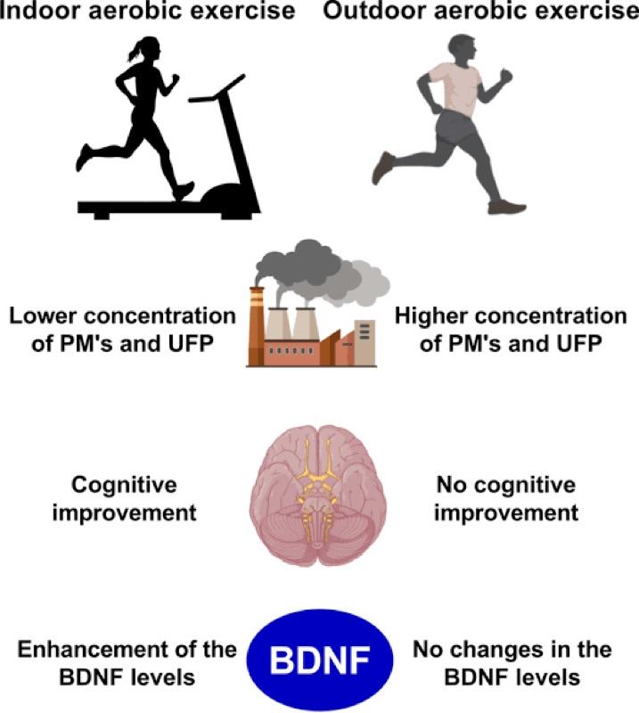 Mental Exercise and BDNF Levels