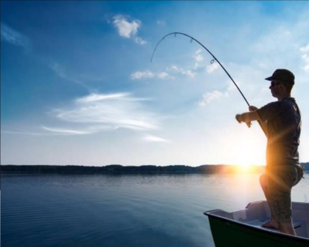 Law 8: Make Other People Come to You – Use Bait if Necessary 🎣